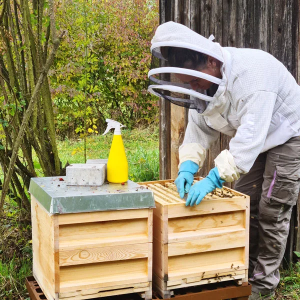 Regio-TV-Beitrag: Imker aus Magstadt vermietet Bienen