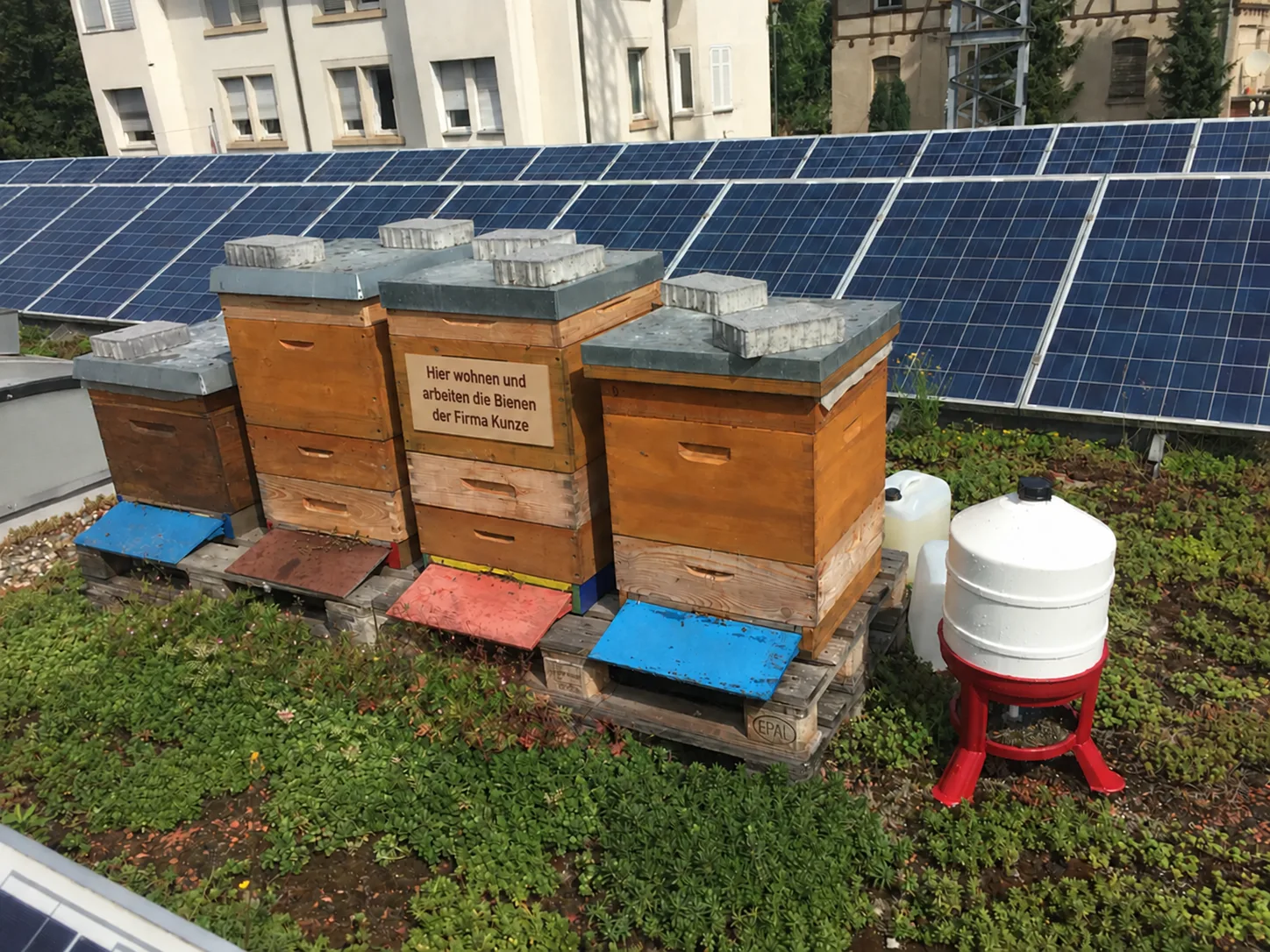 Bienenstöcke auf einem Firmendach mit Photovoltaik-Anlage – Bienenvolk am Firmenstandort